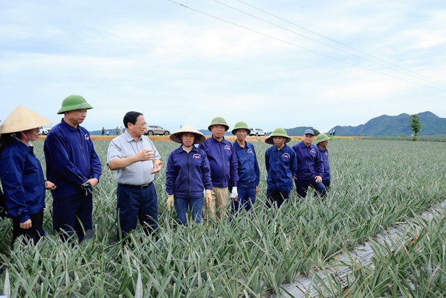 Ninh Bình tập trung phát triển sản xuất, nâng cao thu nhập cho người dân hướng đến mục tiêu giảm nghèo và an sinh xã hội- Ảnh 1. Ninh Bình tập nhà cái hi88 phát triển sản xuất, nâng cao thu nhập cho người dân hướng đến mục tiêu giảm nghèo và an sinh xã hội- Ảnh 1.