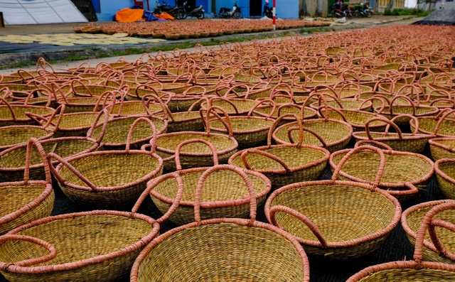 Ninh Bình phát triển nông nghiệp theo hướng bền vững và xây dựng chương trình mỗi xã một sản phẩm Ocop- Ảnh 3. Ninh Bình phát triển nông nghiệp theo hướng bền vững và xây dựng chương trình mỗi xã một sản phẩm Ocop- Ảnh 3.