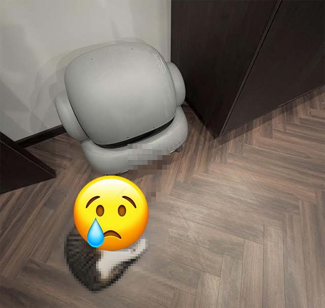 Xôn xao vụ bé mèo qua đời vì bị kẹt trong máy dọn vệ sinh thông minh cho mèo: Hội người dùng đưa ra cảnh báo- Ảnh 1. Xôn xao vụ bé mèo qua đời vì bị kẹt trong máy dọn vệ sinh thông minh cho mèo: Hội người dùng đưa ra cảnh báo- Ảnh 1.