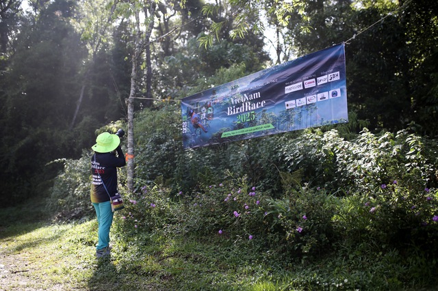 Vietnam BirdRace 2025: Những cánh chim kết nối thế giới từ Bidoup – Núi Bà- Ảnh 1. Vietnam BirdRace 2025: Những cánh tại hi88 kết nối thế giới từ Bidoup – Núi Bà- Ảnh 1.