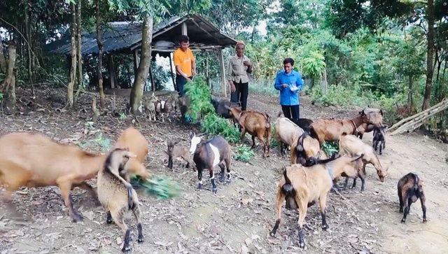 Chỉ trong 6 tháng đầu năm, huyện Trạm Tấu đã hoàn thành vượt chỉ tiêu kết nạp đảng viên mới của cả năm- Ảnh 2. Chỉ trong 6 tháng đầu năm, huyện Trạm Tấu đã hoàn thành vượt chỉ tiêu kết nạp đảng viên mới của cả năm- Ảnh 2.