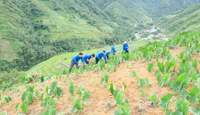 Chỉ trong 6 tháng đầu năm, huyện Trạm Tấu đã hoàn thành vượt chỉ tiêu kết nạp đảng viên mới của cả năm- Ảnh 4. Chỉ trong 6 tháng đầu năm, huyện Trạm Tấu đã hoàn thành vượt chỉ tiêu kết nạp đảng viên mới của cả năm- Ảnh 4.