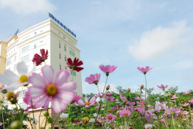 Trường Đại học Khoa học Xã hội và Nhân văn công bố kế hoạch tuyển sinh đại học chính quy năm 2025: Đa dạng phương thức, mở rộng cơ hội trúng tuyển- Ảnh 2. Trường Đại học Khoa học Xã hội và Nhân văn công bố kế hoạch tuyển sinh đại học chính quy năm 2025: Đa dạng phương thức, mở rộng cơ hội trúng tuyển- Ảnh 2.