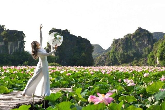 Những đầm sen đẹp nức tiếng quanh Hà Nội khiến hội sống ảo "lịm tim": Chị em sửa soạn lên đồ check-in ngay kẻo lỡ!- Ảnh 23. Những đầm hi88.com - hi88.win đẹp nức tiếng quanh Hà Nội khiến hội sống ảo "lịm tim": Chị em sửa soạn lên đồ check-in ngay kẻo lỡ!- Ảnh 23.