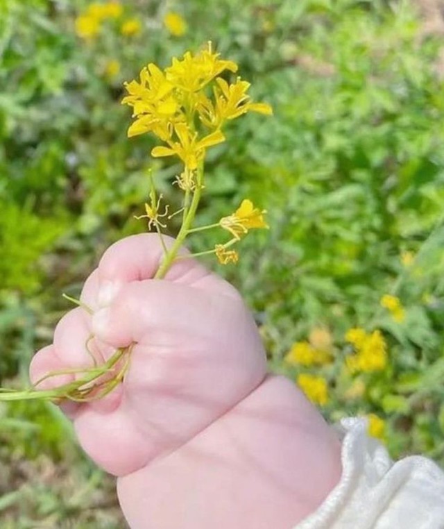Bố mẹ có biết đặc điểm đôi bàn tay của bé cũng gợi mở về tương lai, năng lực và tính cách con sau này- Ảnh 3. Bố mẹ có biết đặc điểm đôi bàn tay của bé cũng gợi mở về tương lai, năng lực và tính cách con sau này- Ảnh 3.