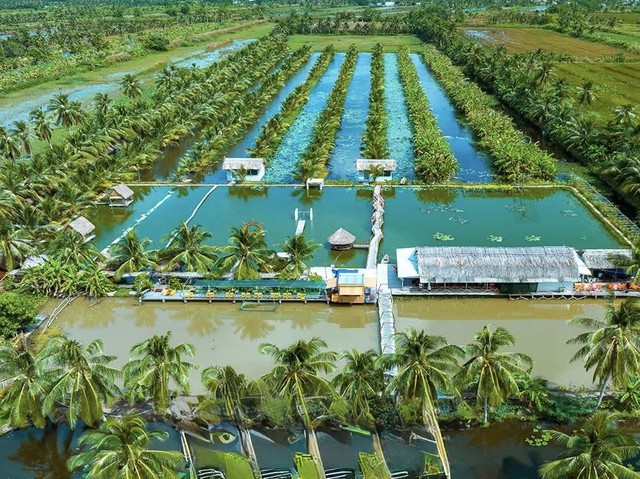 Đá Bạc – Viên ngọc thô ven biển Tây trên hành trình đánh thức tiềm năng du lịch Cà Mau- Ảnh 3. Đá Bạc – Viên ngọc thô ven biển Tây trên hành trình đánh thức tiềm năng du lịch Cà Mau- Ảnh 3.