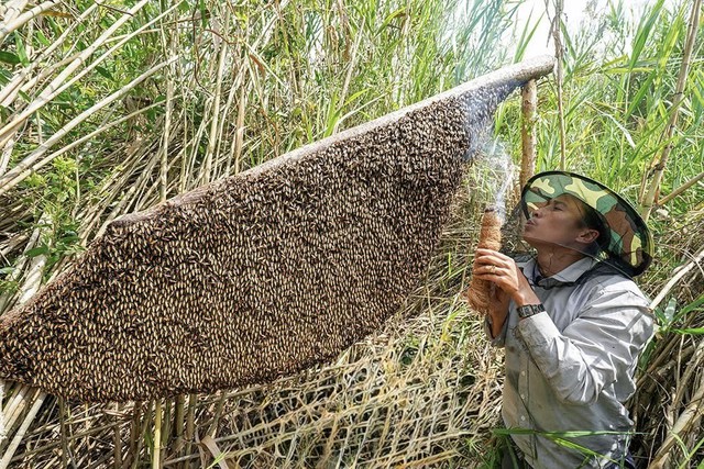 Đá Bạc – Viên ngọc thô ven biển Tây trên hành trình đánh thức tiềm năng du lịch Cà Mau- Ảnh 5. Đá Bạc – Viên ngọc thô ven biển Tây trên hành trình đánh thức tiềm năng du lịch Cà Mau- Ảnh 5.