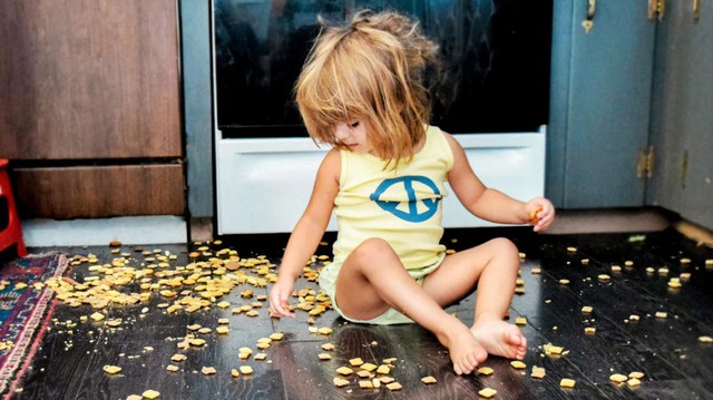 Những loại thực phẩm không bao giờ được ăn nếu chạm đất: Sự thật kinh hoàng về vi khuẩn- Ảnh 3.