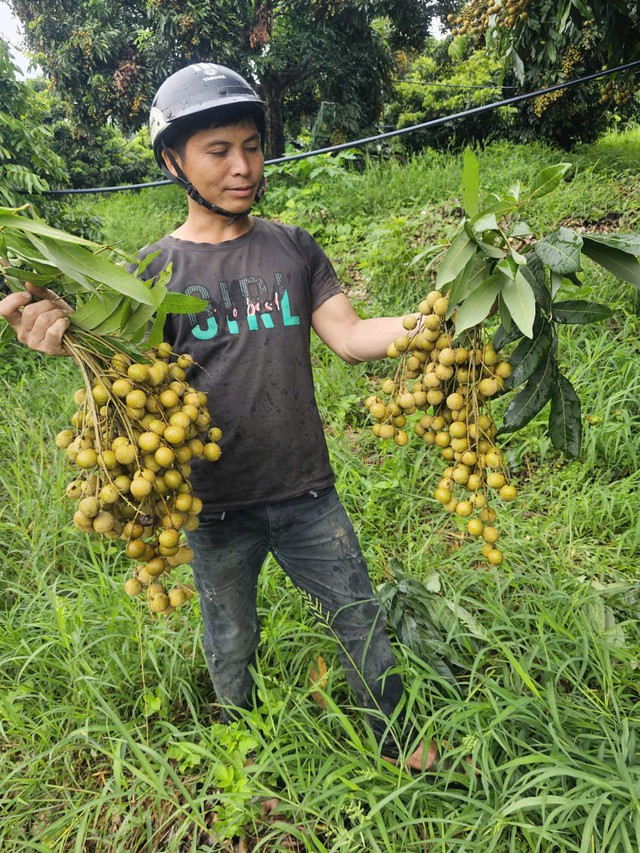 Xã biên giới đặc biệt khó khăn Chiềng Khoong (Sơn La) phấn đấu thu nhập bình quân đầu người đạt 40 triệu đồng và không còn hộ nghèo vào năm 2030- Ảnh 3. Xã biên giới đặc biệt khó khăn Chiềng Khoong (Sơn La) phấn đấu thu nhập bình quân đầu người đạt 40 triệu đồng và không còn hộ nghèo vào năm 2030- Ảnh 3.