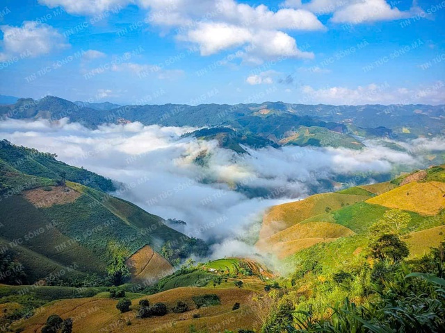 Xã biên giới đặc biệt khó khăn Chiềng Khoong (Sơn La) phấn đấu thu nhập bình quân đầu người đạt 40 triệu đồng và không còn hộ nghèo vào năm 2030- Ảnh 4. Xã biên giới đặc biệt khó khăn Chiềng Khoong (Sơn La) phấn đấu thu nhập bình quân đầu người đạt 40 triệu đồng và không còn hộ nghèo vào năm 2030- Ảnh 4.