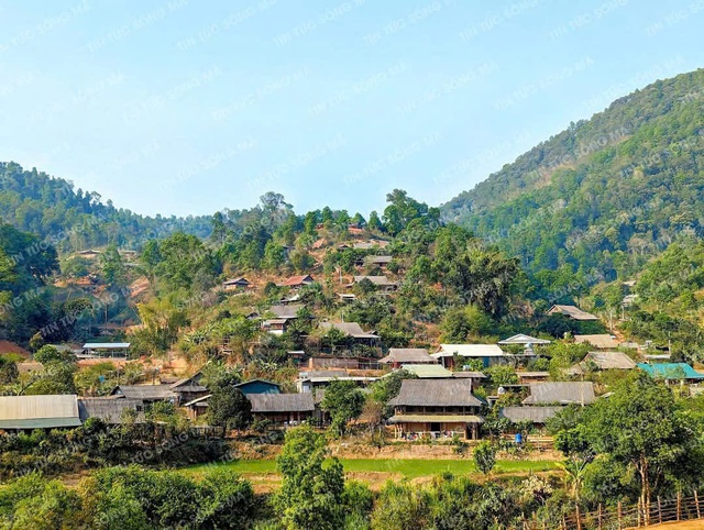 Xã biên giới đặc biệt khó khăn Chiềng Khoong (Sơn La) phấn đấu thu nhập bình quân đầu người đạt 40 triệu đồng và không còn hộ nghèo vào năm 2030- Ảnh 5. Xã biên giới đặc biệt khó khăn Chiềng Khoong (Sơn La) phấn đấu thu nhập bình quân đầu người đạt 40 triệu đồng và không còn hộ nghèo vào năm 2030- Ảnh 5.