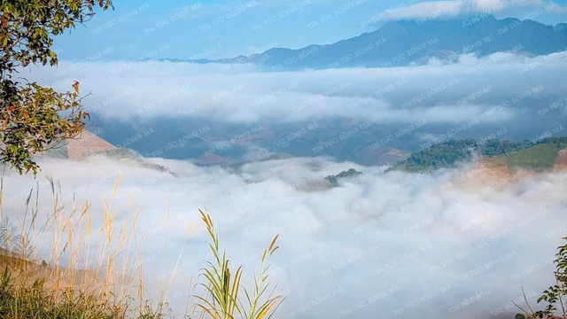Xã biên giới đặc biệt khó khăn Chiềng Khoong (Sơn La) phấn đấu thu nhập bình quân đầu người đạt 40 triệu đồng và không còn hộ nghèo vào năm 2030- Ảnh 6. Xã biên giới đặc biệt khó khăn Chiềng Khoong (Sơn La) phấn đấu thu nhập bình quân đầu người đạt 40 triệu đồng và không còn hộ nghèo vào năm 2030- Ảnh 6.