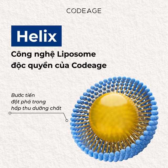 Helix – Công nghệ Liposome đột phá trong hấp thu dưỡng chất của Codeage- Ảnh 1.