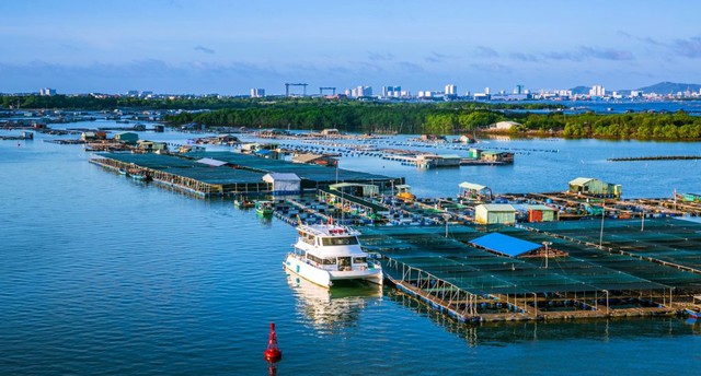Đi Vũng Tàu nhiều nhưng bạn đã biết đến 'đùng Long Sơn' chưa?- Ảnh 1.