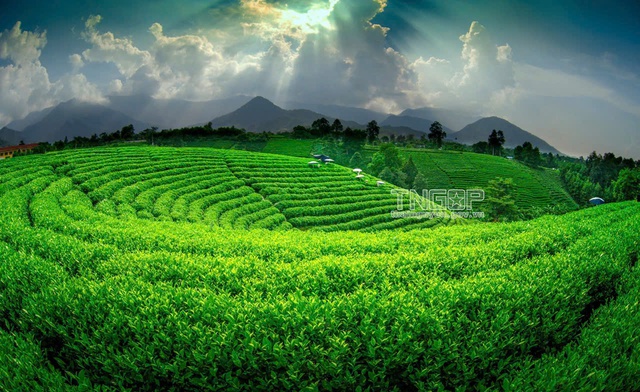 Khi hai mặt nước soi chung bầu trời- Ảnh 10.