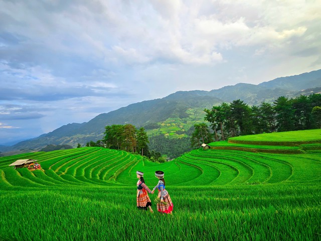 Vẻ đẹp bình yên và nên thơ của Võng lúa Sáng Nhù.
