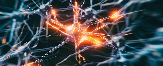 Ca bệnh Alzheimer trẻ nhất lịch sử: Nam thanh niên mới 19 tuổi đã mắc căn bệnh người già- Ảnh 1.