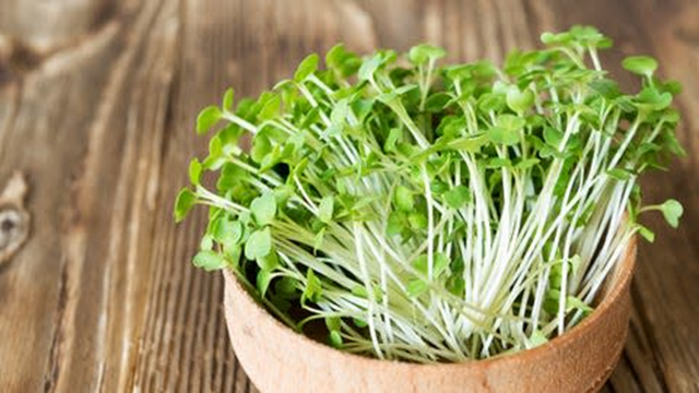 Nhật Bản công bố 5 thực phẩm nên ăn hằng ngày: Trứng chỉ đứng thứ 5, “vua dinh dưỡng” gọi tên món này- Ảnh 3. Nhật Bản công bố 5 thực phẩm nên ăn hằng ngày: Trứng chỉ đứng thứ 5, “vua dinh dưỡng” gọi tên món này- Ảnh 3.