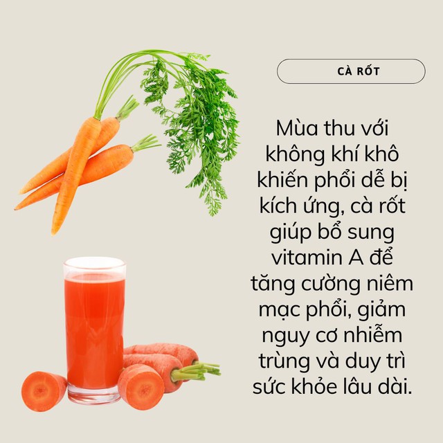 Có 2 loại rau đặc biệt tốt cho phổi nên ăn nhiều vào mùa thu: Vừa lành tính, ít thuốc trừ sâu và ai cũng đủ khả năng mua- Ảnh 2.
