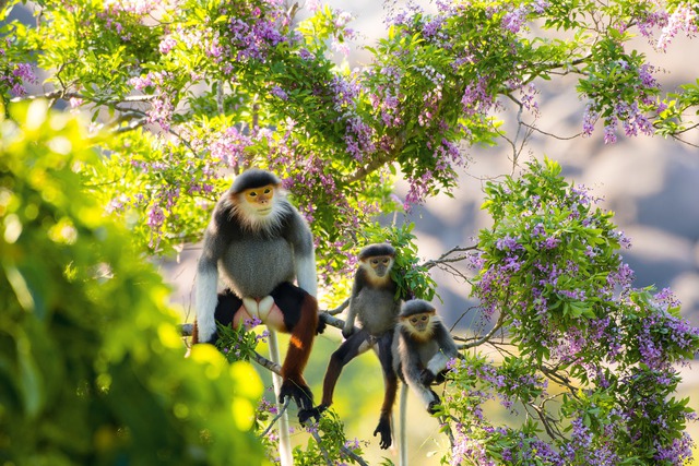 Gợi ý 5 điểm đến dịp nghỉ lễ Quốc khánh 2/9- Ảnh 4.