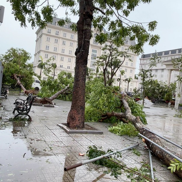 Khung cảnh khó tin tại các trường học ở miền Trung sau bão số 5: Sắp năm học mới rồi, mong mọi thứ sớm ổn định!- Ảnh 5. Khung cảnh khó tin tại các trường học ở miền Trung sau bão số 5: Sắp năm học mới rồi, mong mọi thứ sớm ổn định!- Ảnh 5.