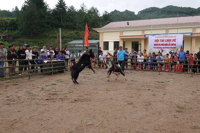 Chào mừng 80 năm Tết Độc lập – xã Mù Cang Chải tổ chức “Lễ hội Mùa Vàng” và nhiều hoạt động mang đậm bản sắc của người dân vùng cao- Ảnh 5. Chào mừng 80 năm Tết Độc lập – xã Mù Cang Chải tổ chức “Lễ hội Mùa Vàng” và nhiều hoạt động mang đậm bản sắc của người dân vùng cao- Ảnh 5.