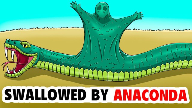 Bên trong dạ dày Anaconda: Con người sẽ sống được bao lâu trước khi bị tiêu hóa?- Ảnh 2. Bên trong dạ dày Anaconda: Con người sẽ sống được bao lâu trước khi bị tiêu hóa?- Ảnh 2.