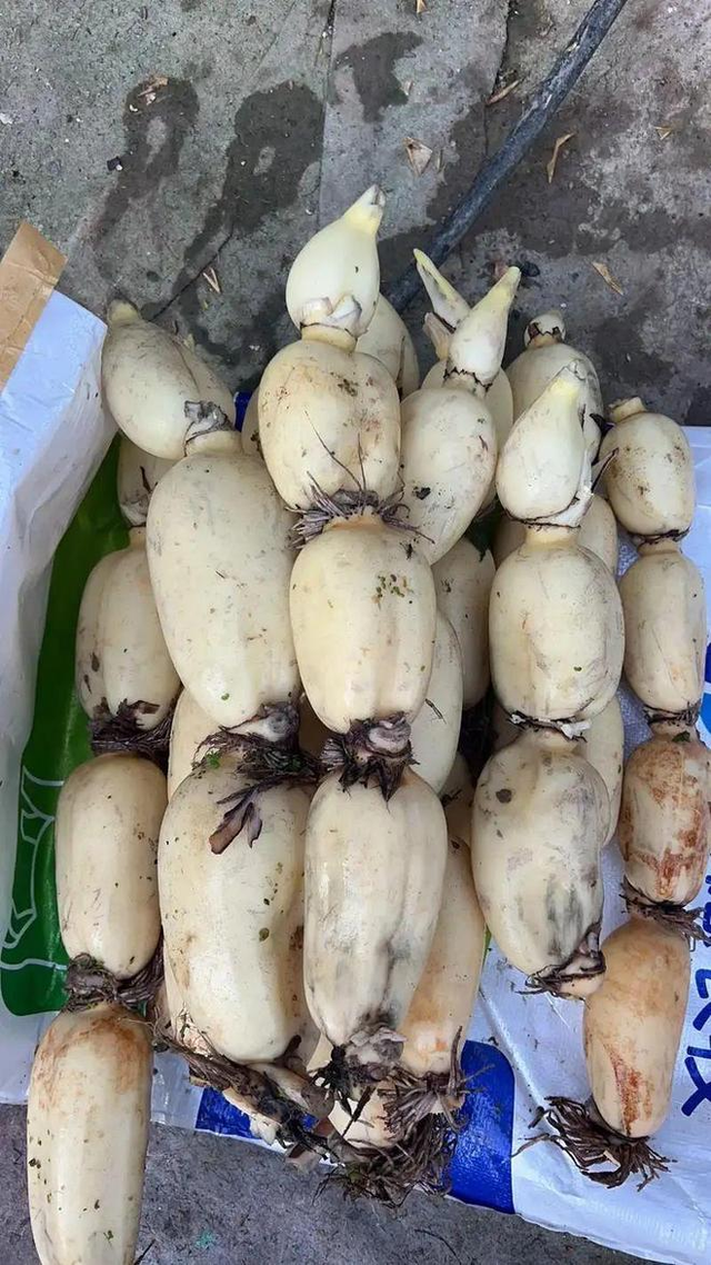 7 loại rau “bẩn” nhất chợ mùa hè: Nhìn thì tươi ngon nhưng dễ rước bệnh vào người, tuyệt đối tránh mua!- Ảnh 3. 7 loại rau “bẩn” nhất chợ mùa hè: Nhìn thì tươi ngon nhưng dễ rước bệnh vào người, tuyệt đối tránh truc tiep bong da keo nha cai!- Ảnh 3.