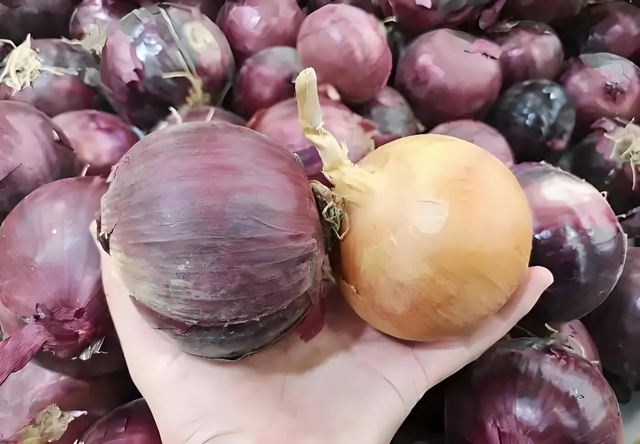 Tôi phát hiện ra sự khác biệt lớn giữa hành tây trắng và hành tây tím: Tôi thực sự học được nhiều điều và sẽ không mua một cách tùy tiện nữa- Ảnh 1. Tôi phát hiện ra sự khác biệt lớn giữa hành tây trắng và hành tây tím: Tôi thực sự học được nhiều điều và sẽ không mua một cách tùy tiện nữa- Ảnh 1.