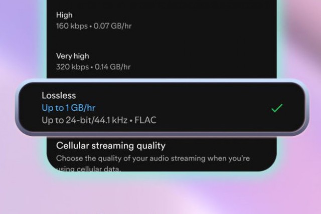 Spotify cuối cùng cũng mở khóa âm thanh lossless, nhưng liệu có quá muộn?- Ảnh 2. xem bong da truc tiep cup c1 cuối cùng cũng mở khóa âm thanh lossless, nhưng liệu có quá muộn?- Ảnh 2.