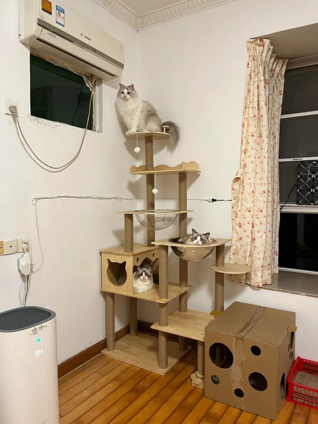 C&oacute; 6 thứ c&agrave;ng mua c&agrave;ng khổ: Nh&agrave; cửa chật kh&ocirc;ng c&ograve;n chỗ thở, v&iacute; tiền chưa đầy đ&atilde; rỗng tuếch- Ảnh 3.