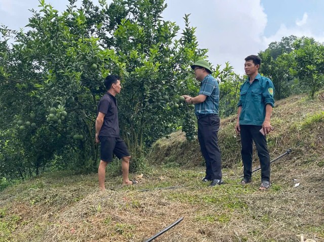 Xã Chấn Thịnh: Phát triển nông, lâm nghiệp theo chuỗi giá trị gắn với xây dựng nông thôn mới bền vững là nhiệm vụ trọng tâm- Ảnh 2.