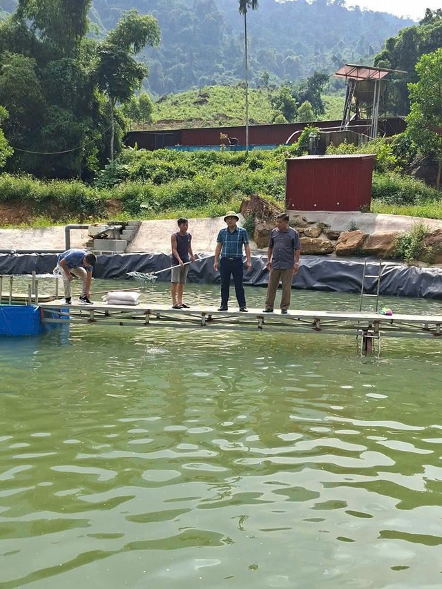 Xã Chấn Thịnh: Phát triển nông, lâm nghiệp theo chuỗi giá trị gắn với xây dựng nông thôn mới bền vững là nhiệm vụ trọng tâm- Ảnh 3.