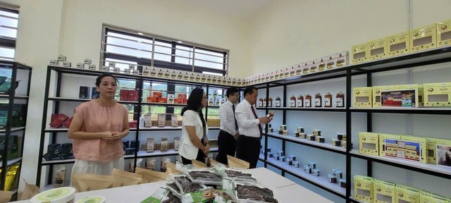Xã Chấn Thịnh: Phát triển nông, lâm nghiệp theo chuỗi giá trị gắn với xây dựng nông thôn mới bền vững là nhiệm vụ trọng tâm- Ảnh 5.