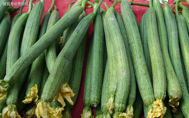 6 loại rau mùa thu ít dinh dưỡng lại dễ hại sức khỏe, ngay cả người bán cũng tránh xa- Ảnh 1.