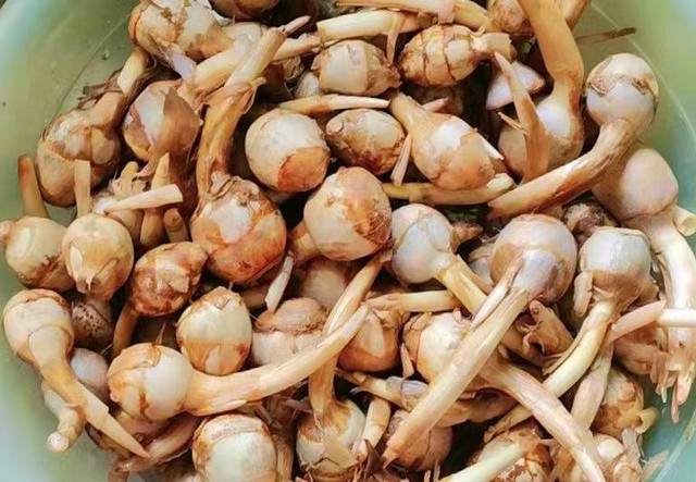 Không phải dưa chuột, tháng 9 nên ăn nhiều 7 loại Không phải dưa chuột, tháng 9 nên ăn nhiều 7 loại