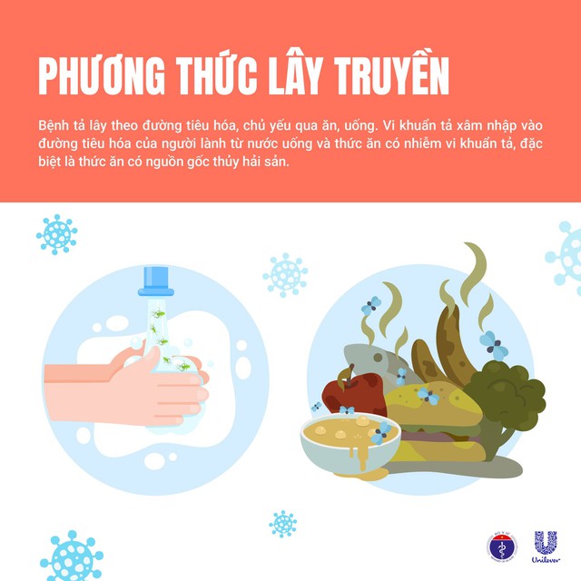 Bệnh tả trên thế giới đang phức tạp: Bộ Y tế thông tin và khuyến cáo- Ảnh 4.