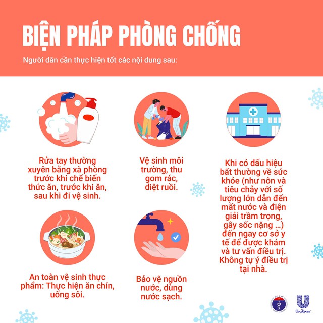 Bệnh tả trên thế giới đang phức tạp: Bộ Y tế thông tin và khuyến cáo- Ảnh 5.