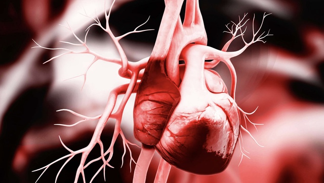 CẢNH BÁO: Không đau ngực vẫn có thể nhồi máu cơ tim, ngưng thở khi ngủ - 6 dấu hiệu dễ bị bỏ qua nhất- Ảnh 1.