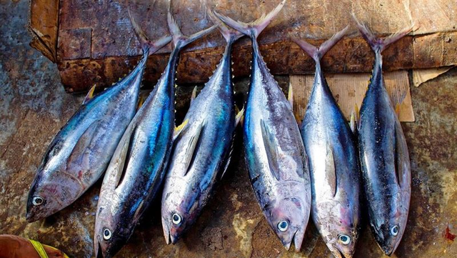 Ăn c&aacute; sai c&aacute;ch c&oacute; thể "ph&aacute; thận"? B&aacute;c sĩ cảnh b&aacute;o: 3 loại n&agrave;y n&ecirc;n ăn &iacute;t- Ảnh 3.