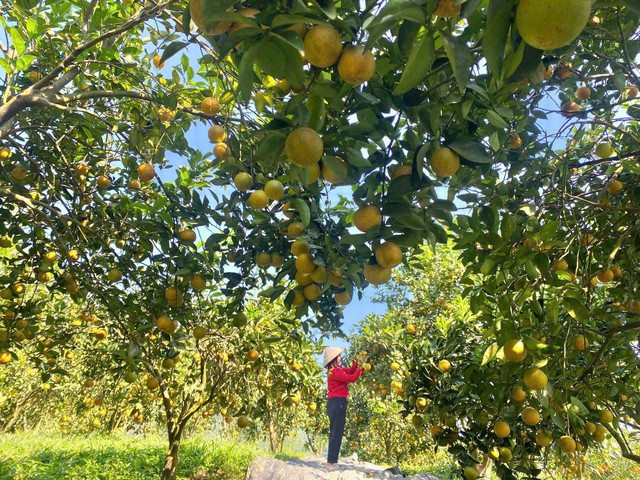 X&atilde; Lai Đồng (Ph&uacute; Thọ): Tập trung khai th&aacute;c tiềm năng đất đai, bản sắc văn h&oacute;a d&acirc;n tộc để ph&aacute;t triển n&ocirc;ng nghiệp h&agrave;ng h&oacute;a, du lịch cộng đồng- Ảnh 1.