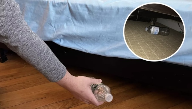 Nữ tiếp viên hàng không tiết lộ quy tắc sinh tồn 2 giây: Ném chai nước vào gầm giường ngay khi nhận phòng khách sạn- Ảnh 3.