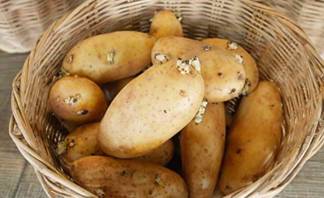 5 loại rau mà bác sĩ không bao giờ đụng đến, nhưng bạn có thể đang ăn mỗi ngày!- Ảnh 1. 5 loại rau mà bác sĩ không bao giờ đụng đến, nhưng bạn có thể đang ăn mỗi ngày!- Ảnh 1.