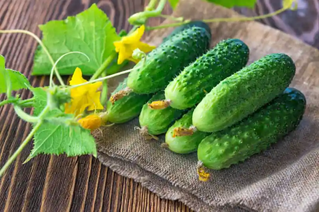 6 loại rau tốt nhất đừng vội cho v&agrave;o tủ lạnh, b&aacute;c sĩ khuy&ecirc;n để nhiệt độ ph&ograve;ng vẫn l&agrave; "ch&acirc;n &aacute;i"- Ảnh 3.