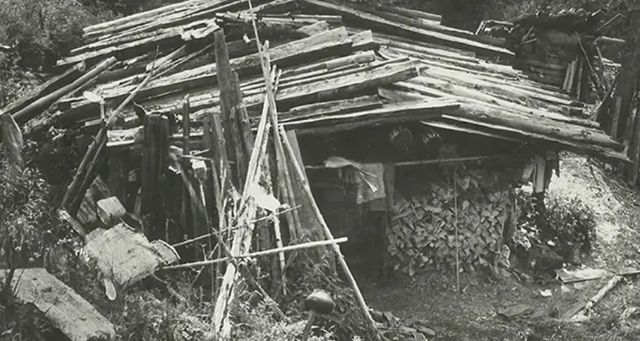 Gia đ&igrave;nh tự c&ocirc; lập giữa rừng s&acirc;u từ năm 1936, kh&ocirc;ng biết Thế chiến II đ&atilde; kết th&uacute;c- Ảnh 3.