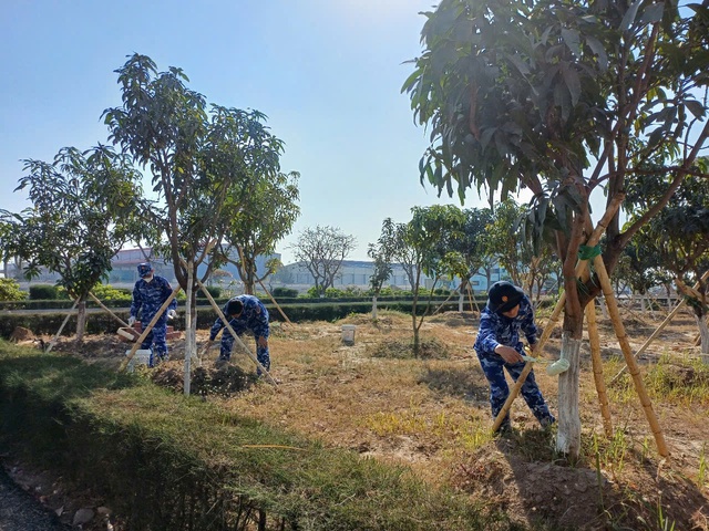 Tuổi trẻ Hải đo&agrave;n 11 s&ocirc;i nổi thi đua ch&agrave;o mừng Đại hội Đại biểu to&agrave;n quốc lần thứ XIV của Đảng- Ảnh 5.