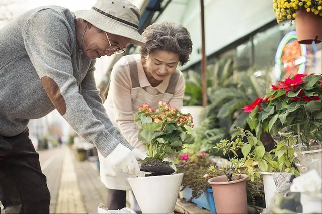 Khảo s&aacute;t 1.000 người sống thọ tr&ecirc;n 100 tuổi h&eacute; lộ: Điểm chung của người trường thọ kh&ocirc;ng nằm ở việc tập thể dục, m&agrave; l&agrave; 5 điều n&agrave;y- Ảnh 5.