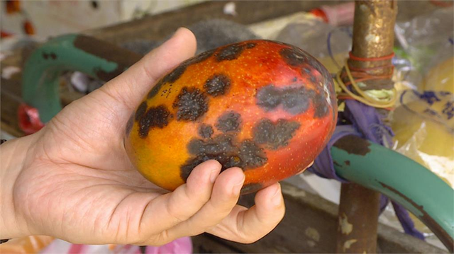 Cả gia đ&igrave;nh 3 người lần lượt qua đời: B&aacute;c sĩ li&ecirc;n tục cảnh b&aacute;o 4 loại thực phẩm để l&acirc;u trong tủ lạnh c&oacute; thể &ldquo;tiếp tay&rdquo; cho ung thư- Ảnh 2.