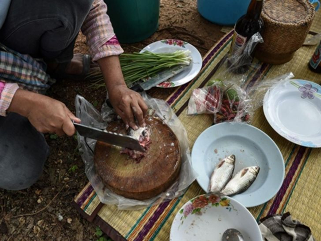 2 loại cá ăn nhiều gây ung thư trên toàn cầu nhưng nhiều người Việt vẫn ăn hàng ngày- Ảnh 2. 2 loại cá ăn nhiều gây ung thư trên toàn cầu nhưng nhiều người Việt vẫn ăn hàng ngày- Ảnh 2.