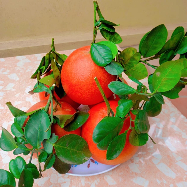 Th&ocirc;ng gia gi&agrave;u c&oacute; tự nhi&ecirc;n gọi mời ăn cơm, t&ocirc;i bối rối mang đ&uacute;ng 1 m&oacute;n vườn nh&agrave; m&agrave; họ &ldquo;kh&oacute;c hết nước mắt&rdquo; kh&ocirc;ng hiểu ra sao- Ảnh 1.